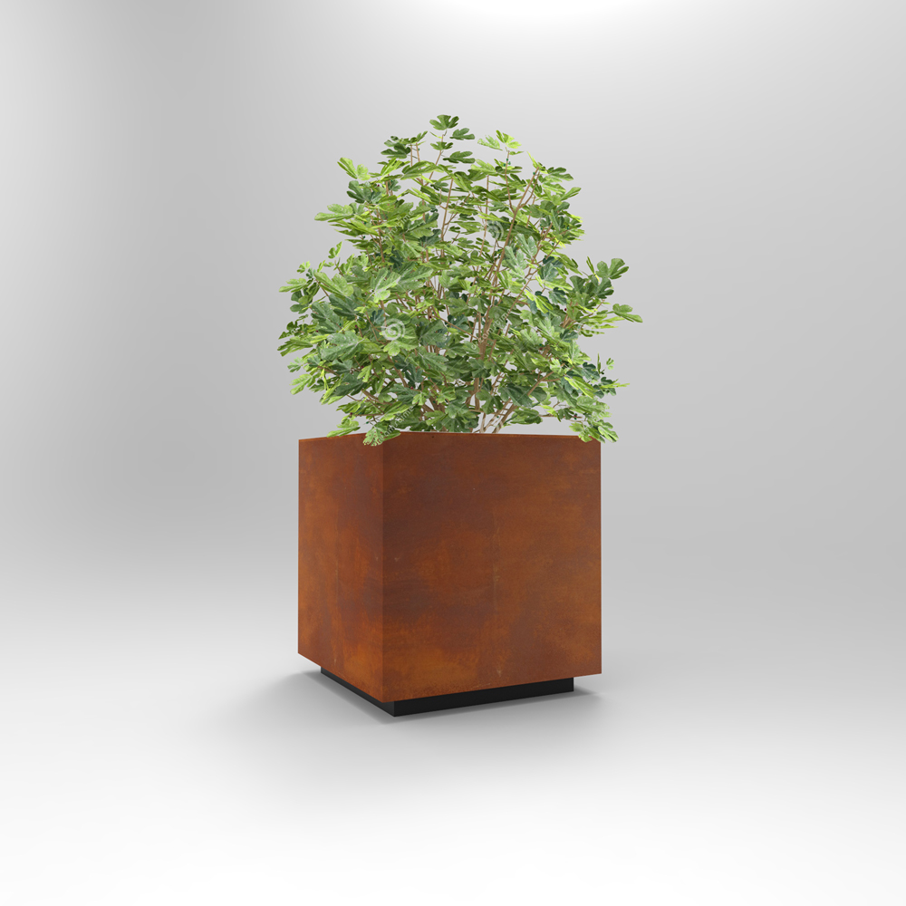 "Marrakech" | planter-image-3