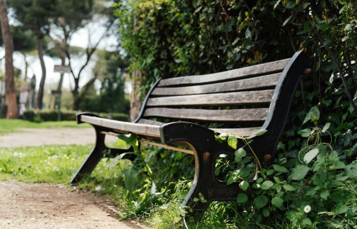 A tranquil park scene with a wooden bench amidst greenery, perfect for relaxation. A tranquil park scene with a wooden bench amidst greenery, perfect for relaxation.
