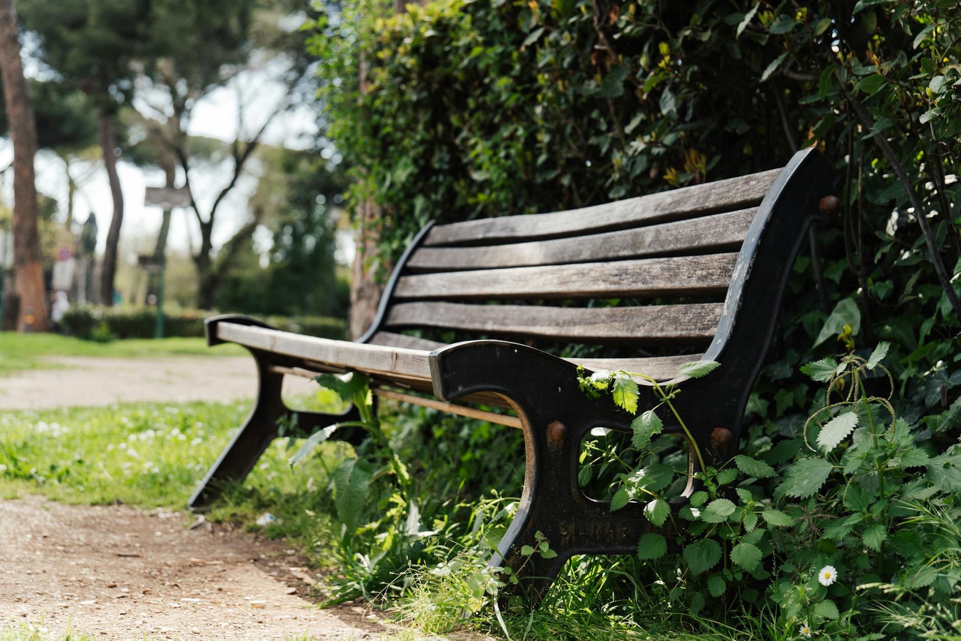 A tranquil park scene with a wooden bench amidst greenery, perfect for relaxation.